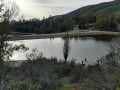 Yucaipa Regional Park - Lake